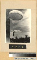 藏品(跳傘)的圖片
